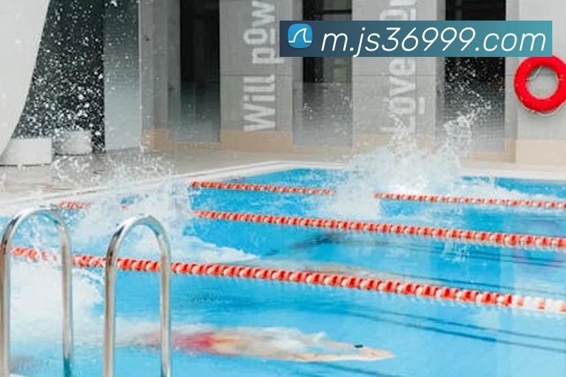 企业概况